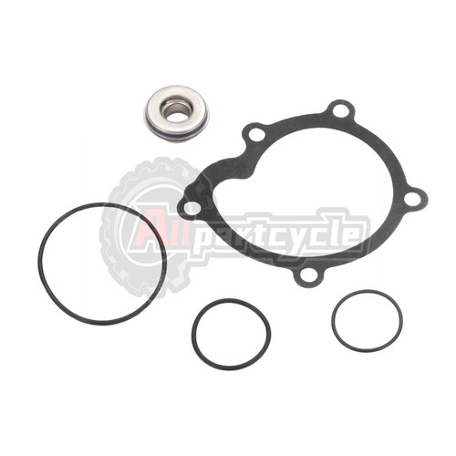 Water pump seal kit - seal,